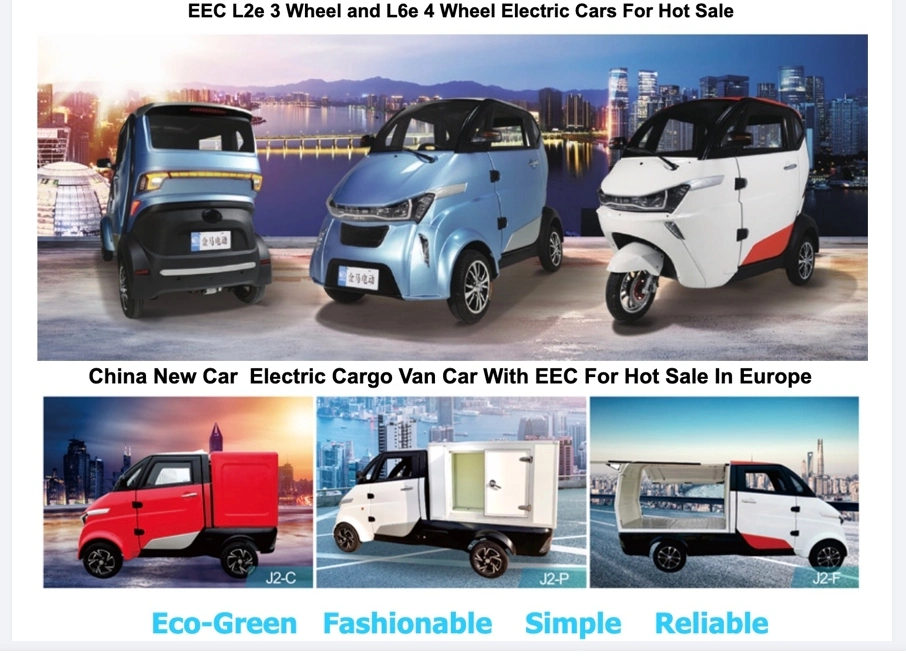 60V3000W Motor 2 Seater Police Electric Car with Lithium Battery