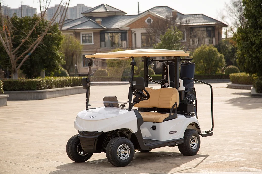 Hot Sale 4 Seater Buggy AC Motor off Road Electric Golf Carts