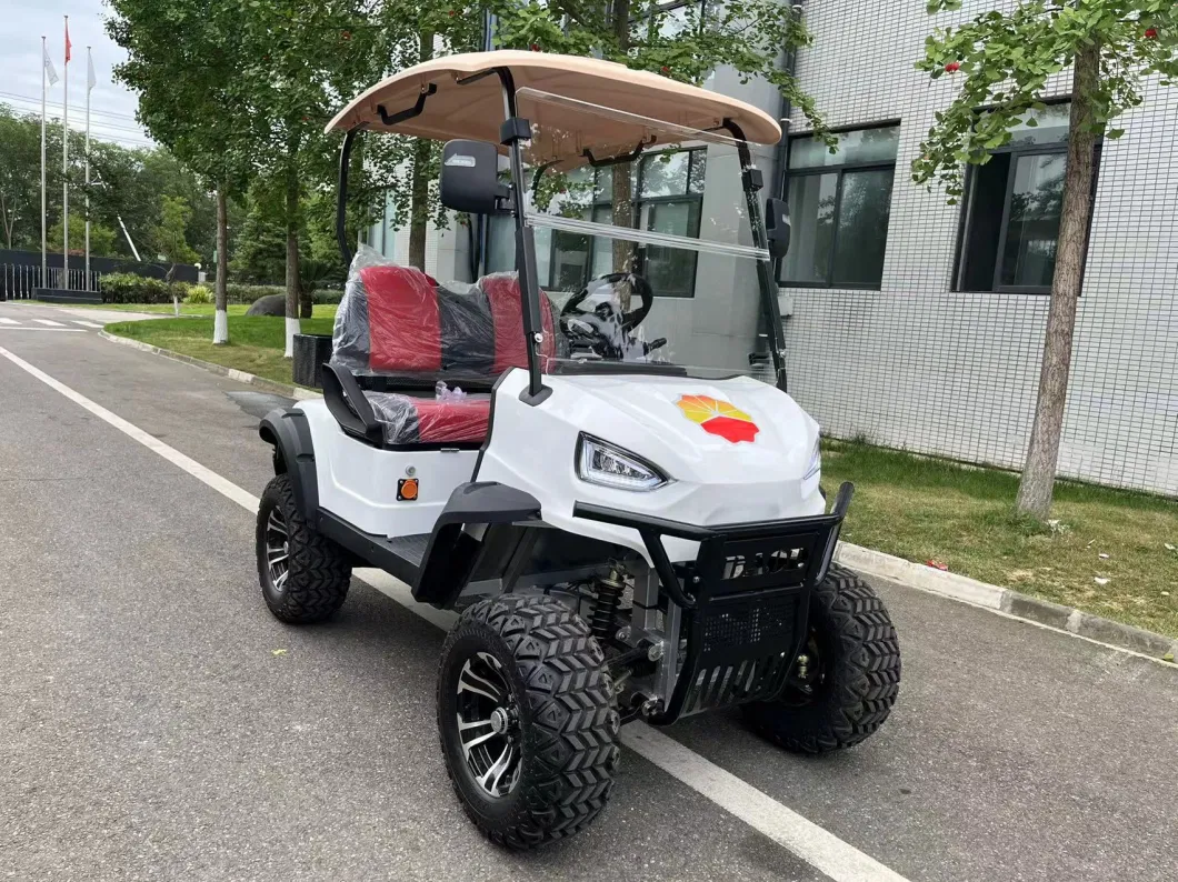 High Standard China Factory Electric Golf Cart 2 Seater with Low Noise Long Range for Receiption Beautiful Customized