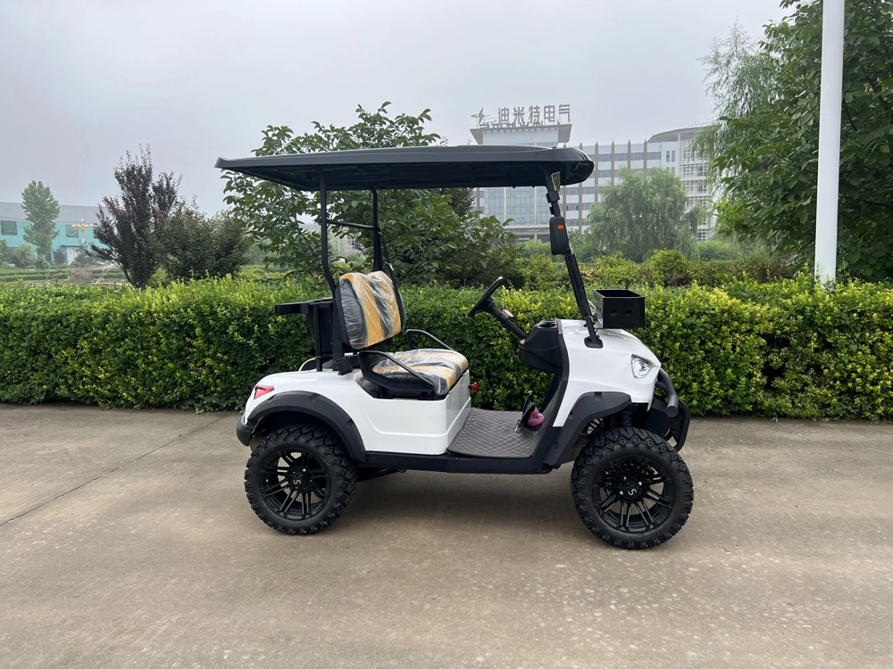 Electric Sightseeing Bus CE Approved 2 Seaters Electric Golf Cart Electric Vehicle MMC Brand Appearance Beautiful Golf Cart