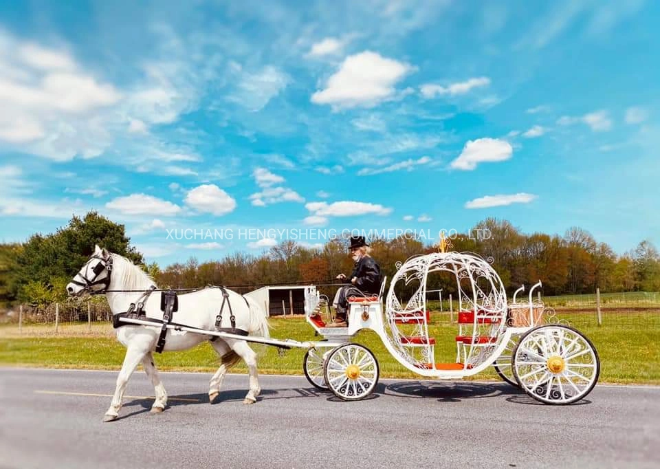 Luxury Pumpkin Carriage/Latest Designed Stage Coach/Star Trolley