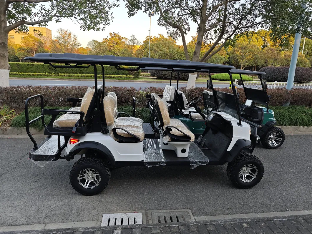 Wintao New 6 Seater Electric 4 Wheel Club Car Golf Cart