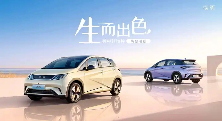 New Electric Cars 2024 Electric Car Manufacturer Byd Dolphin 420km Freedom Version Personal Electric Vehicle