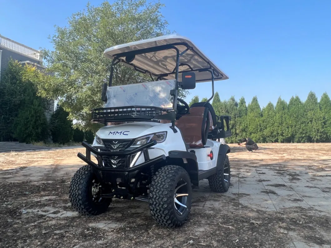 Custom 4 6 8 10 Seater Solar Power Lithium Batteries Folding Golf Carts Electric Golf Cart