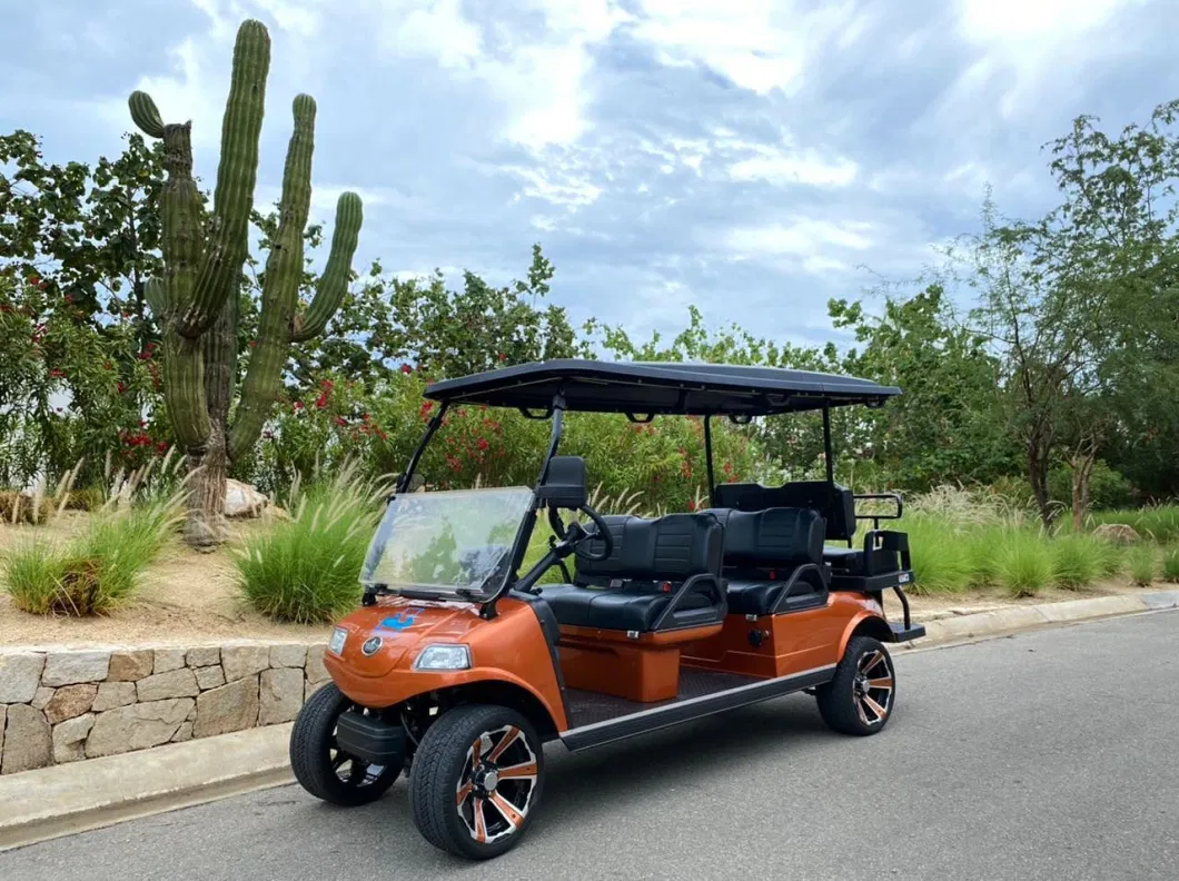 Lifted Golf Cart 6 Seater Go Kart 48V Motor with 48V Lithium Battery