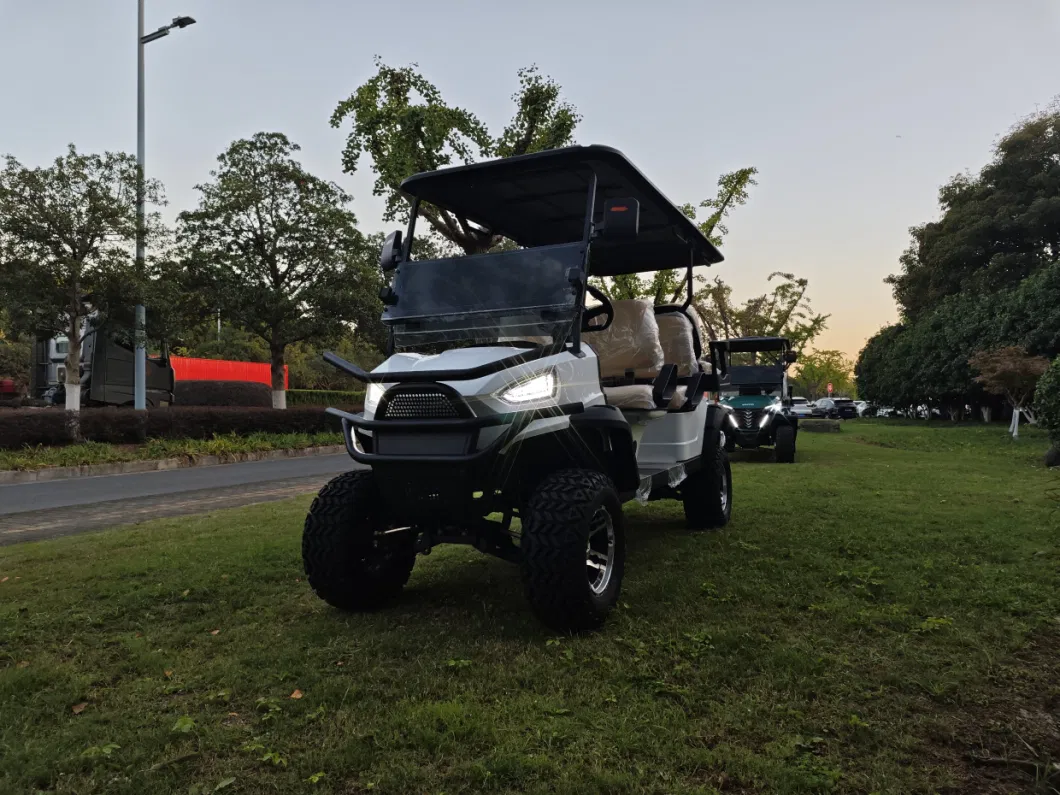 Wintao New 6 Seater Electric 4 Wheel Club Car Golf Cart