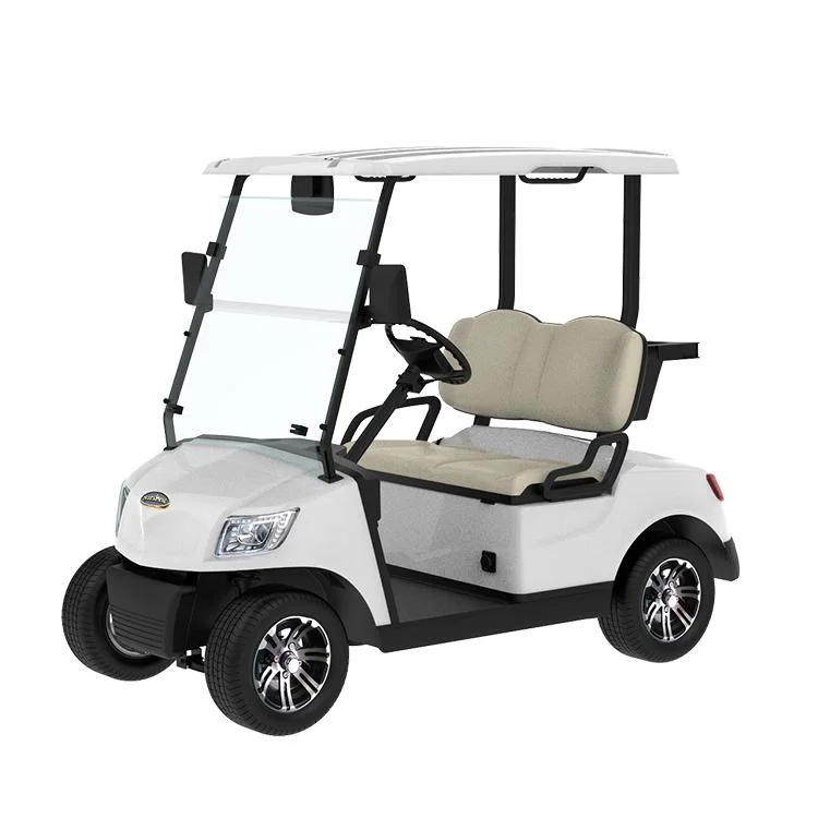 China Manufacturer Marshell Utility Vehicle 2 Seater Electric Golf Buggy (DH-C2)