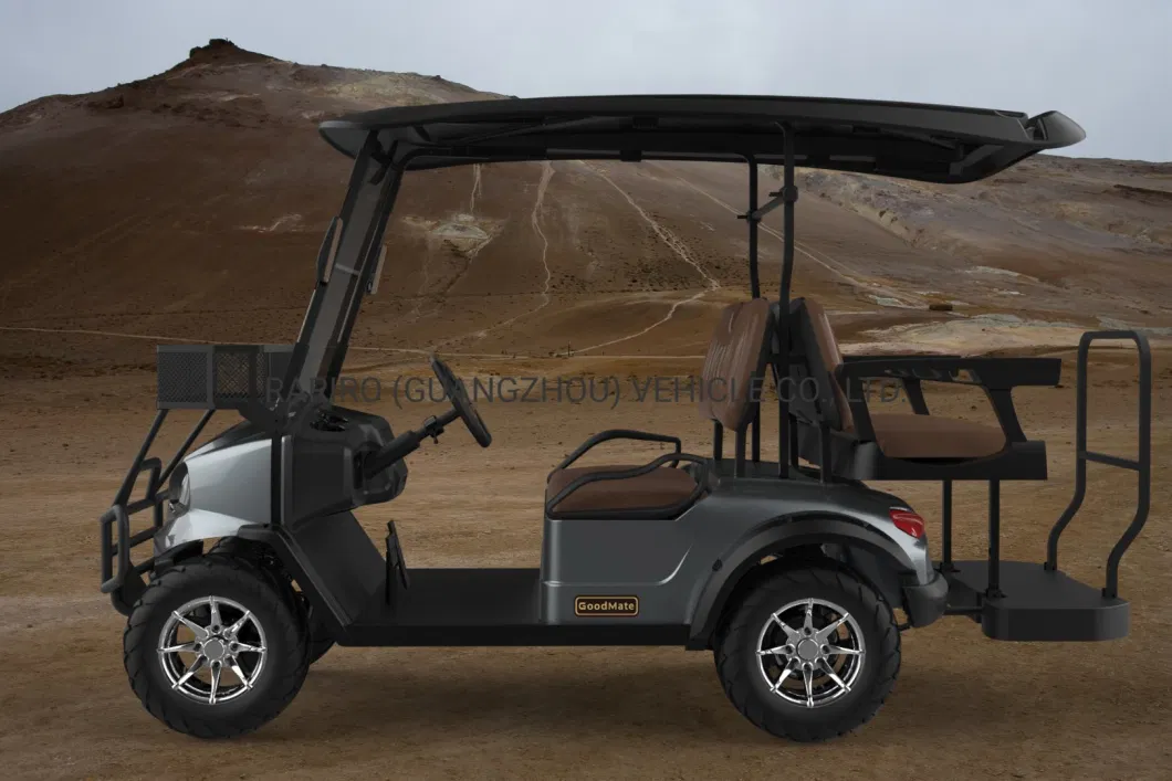 2 Wheel Drive Electric Hunting Utility Vehicle with CE Certificate