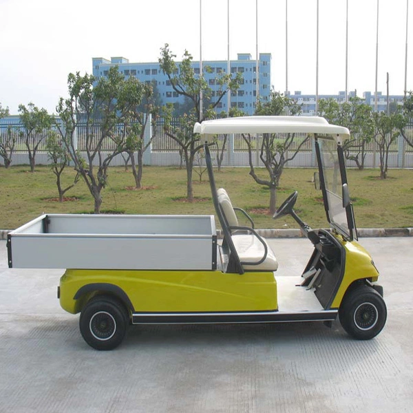 Battery 2 Seat Electric Sightseeing Bus Golf Cargo Car Cart (Lt-A2. H8)