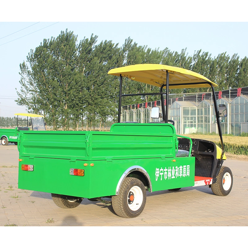 Ready to Ship China Customized 2 Passenger Mini Electric Golf Car, Golf Shuttle, Golf Buggy, Golf Trolley, Golf Utility, Golf Cart with Cargo Bucket CE Approved