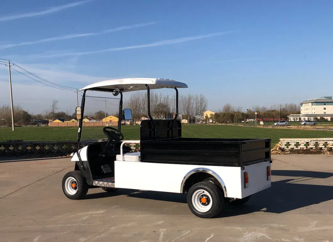 Utility Vehicle UTV Sightseeing Bus Electric Golf Scooter Cart 48V off-Road Buggy Trolley Sport