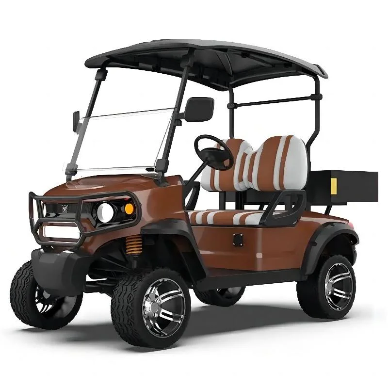 High Power off-Road Golf Cart Street Legal 2 Passenger Electric Golf Cart