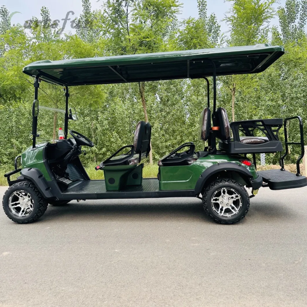 Factory Price 2+2 Seater Gas Electric Golf Cart with Lead-Acid Battery and Lithium Battery