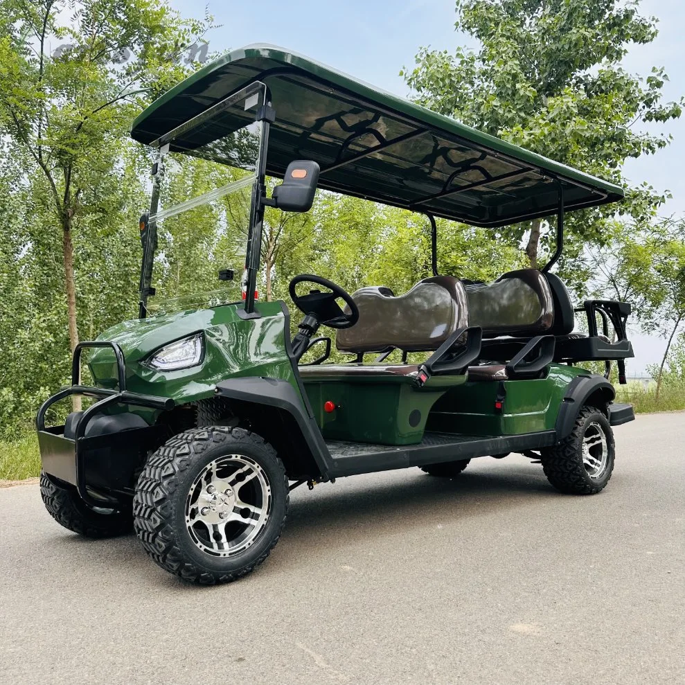 Factory Price 2+2 Seater Gas Electric Golf Cart with Lead-Acid Battery and Lithium Battery