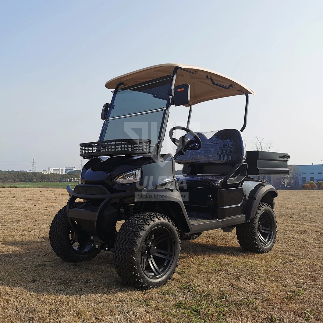 Ulela 4 Seater Golf Car Dealership Blackwhiteredgreenblue Aetric Golf Cart 6 Seater China 2 Seater 4X4 Golf Carts for Sale