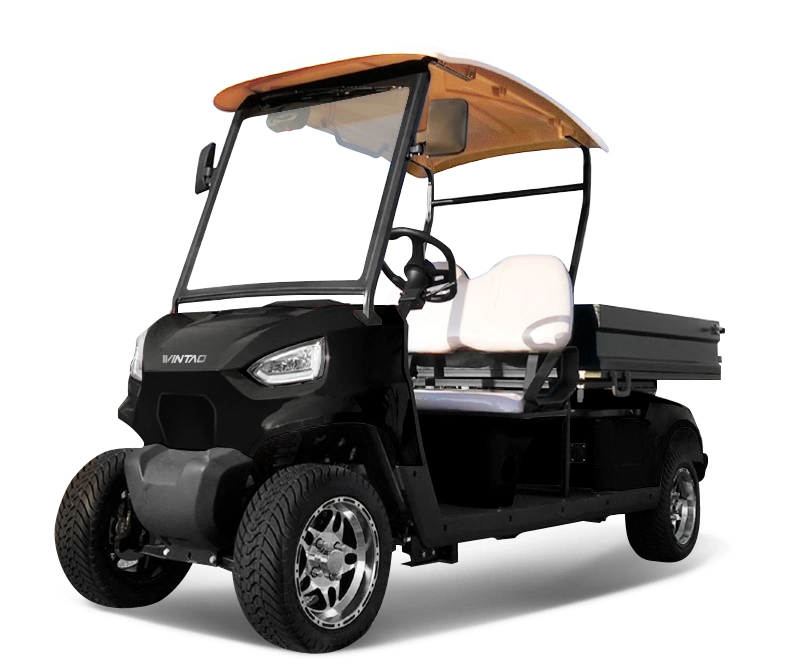 Standard Electric Convenient Fast 2 Passenger Golf Cart with Cargo