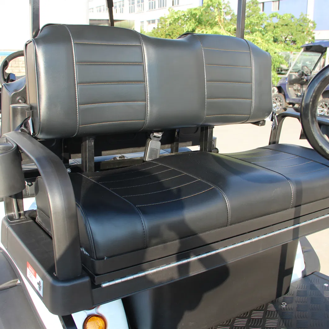 Lifted Golf Cart 6 Seater Go Kart 48V Motor with 48V Lithium Battery