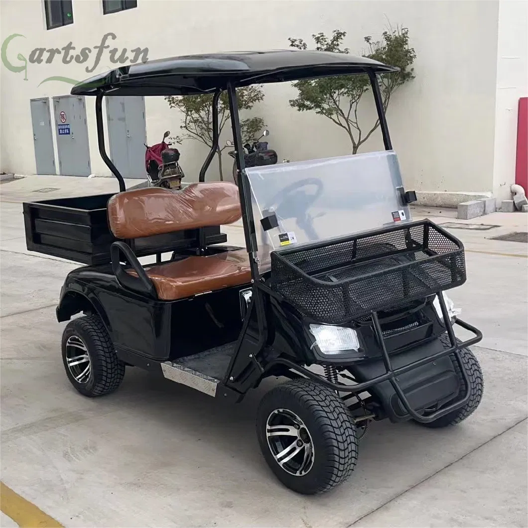 Mini Electric Golf Carts 2 Seater Cheap Farm Utility Lead-Acid 2 Seater Cargo Golf Cart