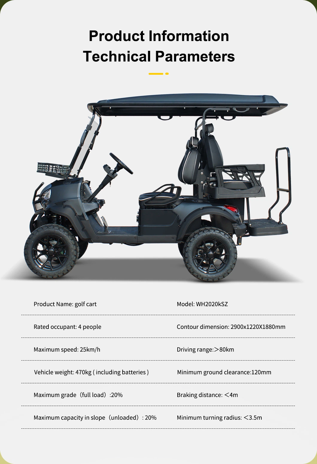 New Arrival Style B3.0 Luxury Seat Club Cart Electric Golf Buggy Hunting Car with CE DOT