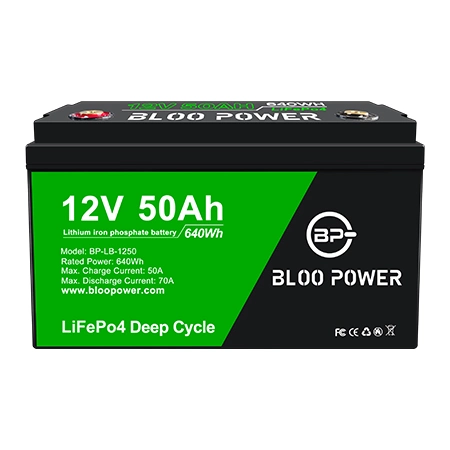 Bloo Power High Capacity Intelligent LFP Liion Lithium-Ion for RV Marine Golf Cart Cart Yacht Camper Yacht Lithium Battery