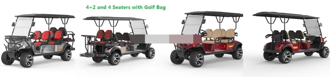 High Performance Stainless Steel 4 Seats Golf Lithium Acid Battery Trolley