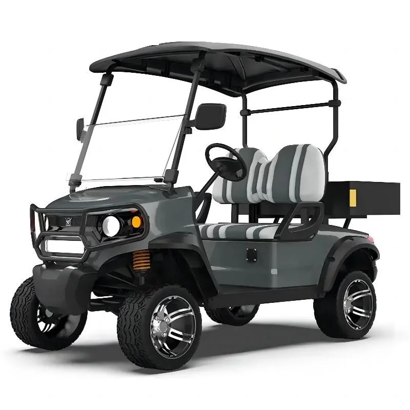 High Power off-Road Golf Cart Street Legal 2 Passenger Electric Golf Cart