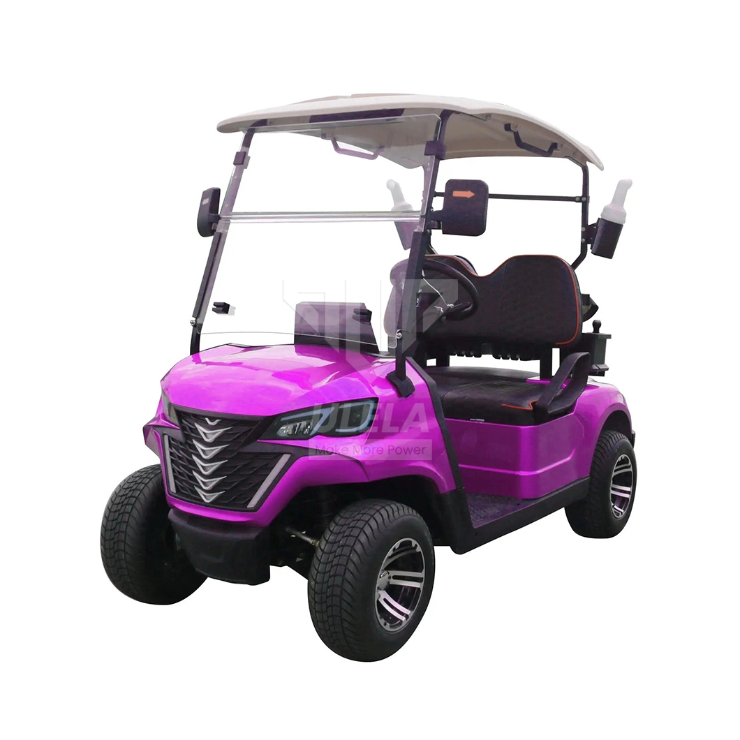 Ulela Largest Golf Cart Dealer Stepless Speed Change off Road Golf Cart Electric China 2 Seater Golf Trolley