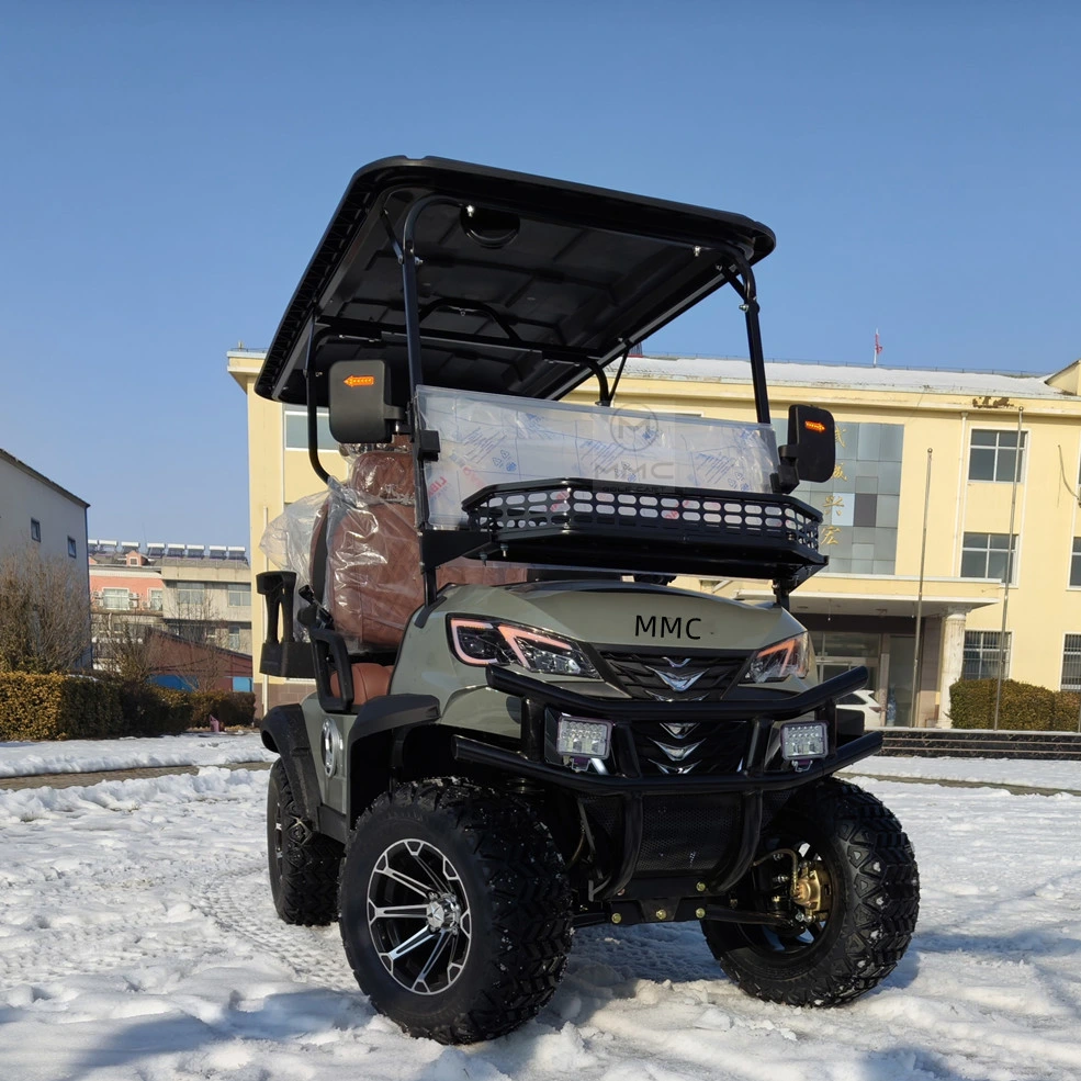 Hot Sale 4 Wheel Approved Golf Car Factory Price 48V 120ah Electric Lithium Golf Cart