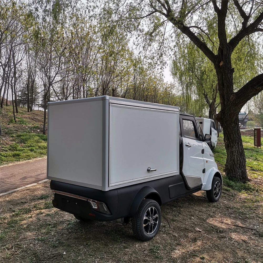 2020 New Utility Mini Pickup Electric Cargo Truck for Europe