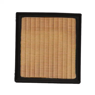 Auto Spare Parts Manufacturer Supply Price Car Air Filter 16546-AA150 for Subaru 16546-73c10 / 16546-30p00