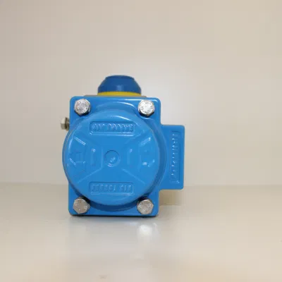 Chinese Factory OEM High Quality Aluminum Air Torque/ Pneumatic Butterfly Valve/Ball Valve Actuator