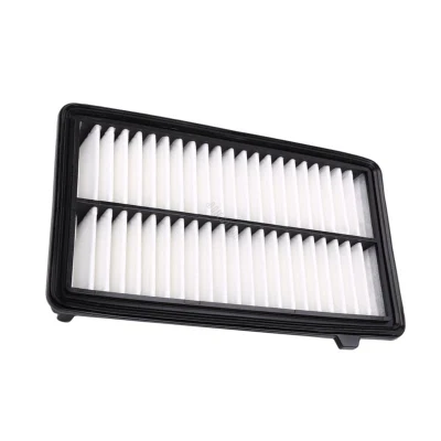 Engine Accessories Good Quality Auto Parts Fuel Filter Direct Factory Price Car Air Filter 17220-5m1-H00 / C24058 /for Honda