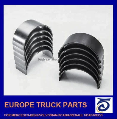 China Engine Main Bearing Supplier for Mercedes-Benz/Volvo/Man/Renault/Daf/Iveco/Isuzu/Mitsubishi/Hino/Hyundai/Toyota/Nissan