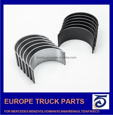 China Engine Main Bearing Supplier for Mercedes-Benz/Volvo/Man/Renault/Daf/Iveco/Isuzu/Mitsubishi/Hino/Hyundai/Toyota/Nissan