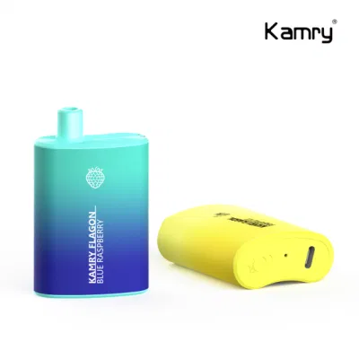 Kamry Flagon Wholesale 6000 Puff Disposable Vape with OEM Brand 2023 Hot Sells in USA 6000puff Disposable Vape