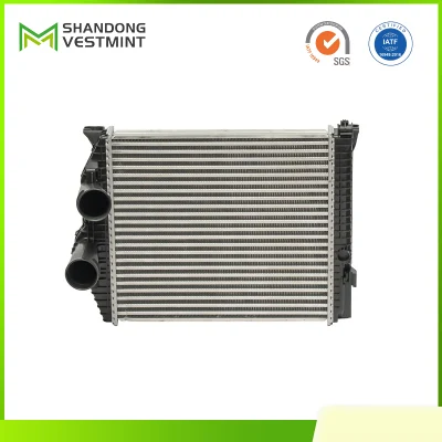 Heavy Duty Qingdao, China Vestmint Truck Parts Intercooler for Hino 700 17940-E0481