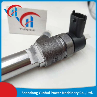 0445110376 Common Rail Injector 0445110376 0445110594 5258744 5309291 Fuel Injector 0445110376 for Cummins, Gaz Isf 2.8