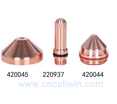 Plasma Torch Consumable Parts Plasma Cutting Nozzle 220671 Swirl Ring 220670 with Factory Price