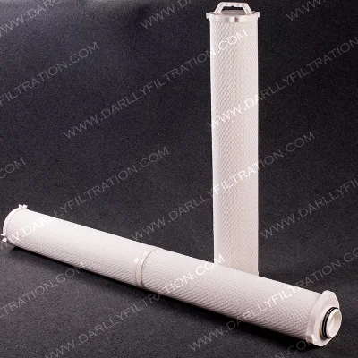 Darlly Manufacture High Performance High Flow Pleated Filter Cartridge for Food and Beverage