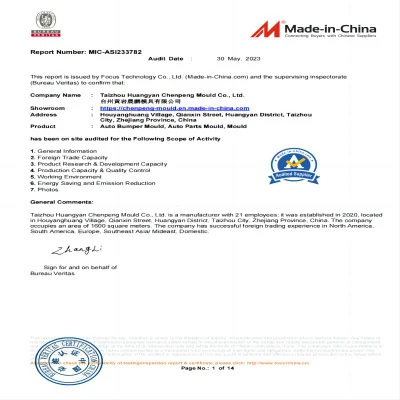 China OEM Manufacturer BMW Bumper Mould