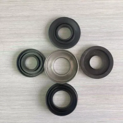 Idler Roller Bearing Housing with Dustproof Seals China Factory Supply