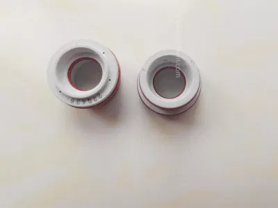 Plasma Cutting Nozzle 220816 Swirl Ring 220857 with Factory Price
