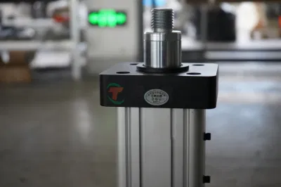 Factory Sale Servo Actuator Servo Electric Cylindert Tysc110