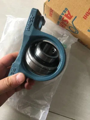 China Supplier Stainless Steel Pillow Block Housing for Type P204 P205 P206 Stainless Insert Bearing UCP204 P205 P206