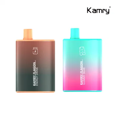 Kamry Flagon Wholesale 6000 Puff Disposable Vape with OEM Brand 2023 Hot Sells in USA 6000puff Disposable Vape