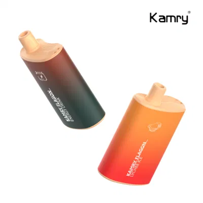 Kamry Flagon Wholesale 6000 Puff Disposable Vape with OEM Brand 2023 Hot Sells in USA 6000puff Disposable Vape