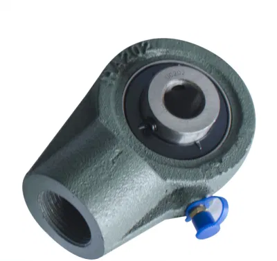UCFL205 China Manufacturer Cast Iron Housing Insert Ball Bearing