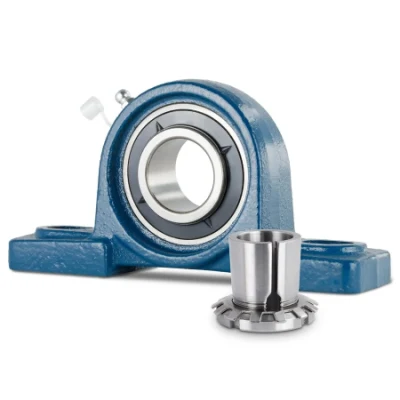 China Factory Supply Resistance Pillow Block Bearing UCP 216 Solid Housing