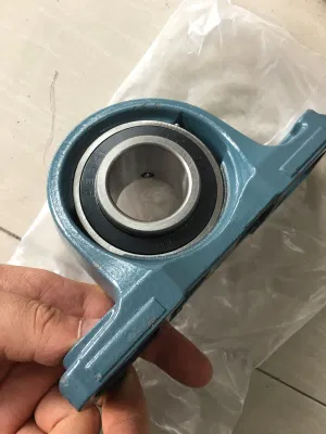 China Supplier Stainless Steel Pillow Block Housing for Type P204 P205 P206 Stainless Insert Bearing UCP204 P205 P206
