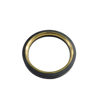 Flow Control Spm/Fmc Plug Valve Repair Seal Kits Supplier